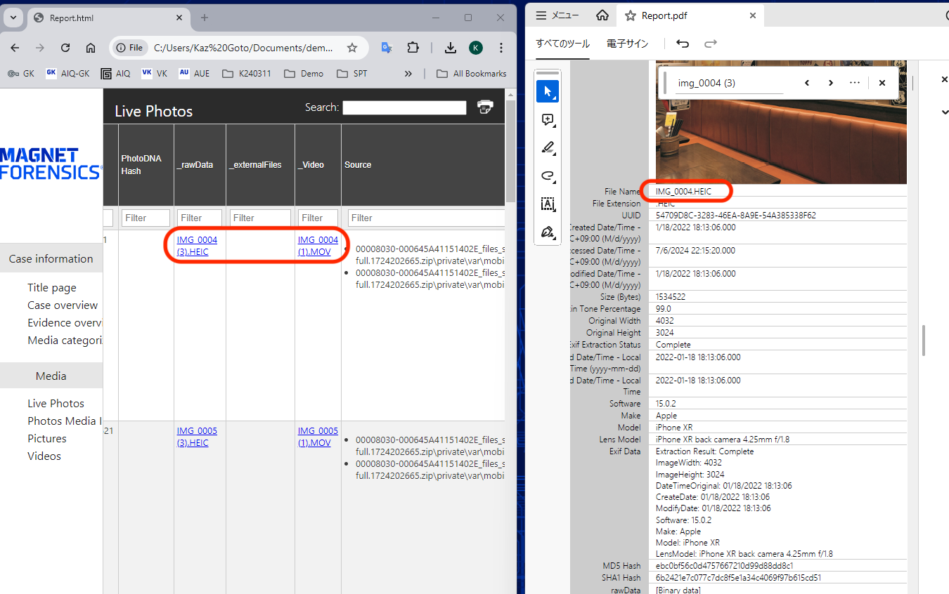 Attachment for clickable link for source file(image) in PDF report